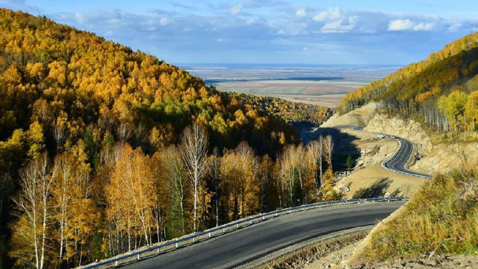 Белокуриха горная