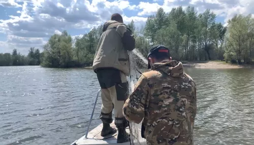 20 нарушений и 11 уголовных дел: в Алтайском крае проходит операция Путина