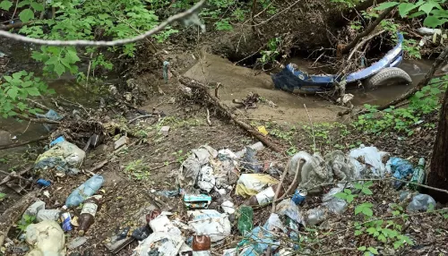 В Барнауле очищенное озеро на Гущина завалили мусором