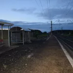 Грузовой поезд сбил пьяного жителя Новоалтайска на перегоне