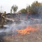 От 15 до 30 тысяч штрафа грозит нарушителям за поджоги в алтайских лесах