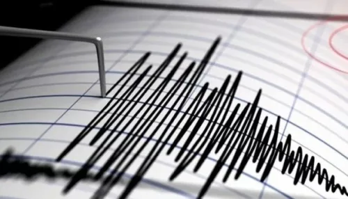 Сейсмологи зафиксировали землетрясение магнитудой 4,8 у Курильских островов