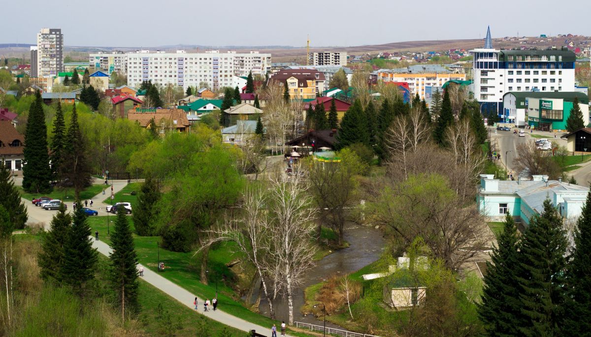 Алтай предлагай. Предгорье Белокурихи. Строительство нового санатория в Белокурихе. Санаторий профилакторий Кошурникова. Маралы в Белокурихе Алтайского края вдалеке.