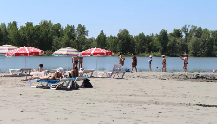 В Барнауле определили ответственного за состояние городского пляжа