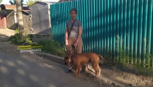 Домашний пёс покусал шестилетнего ребёнка на улице Барнаула