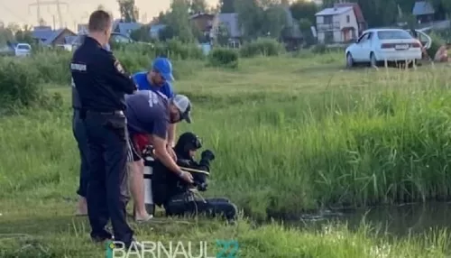 В Алтайском крае спасли ребёнка из воды, когда его пьяный отец начал тонуть