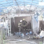 Большой пожар в жилом доме ликвидировали в пригороде Барнаула