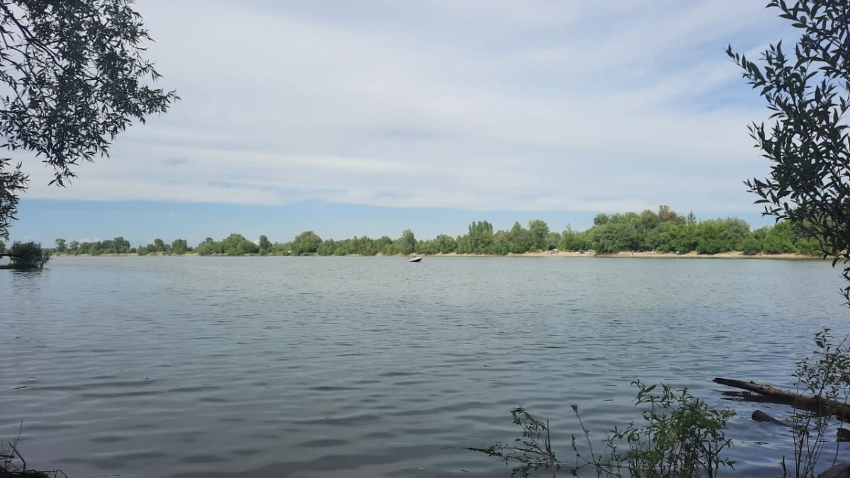 "Дикий" пляж. Барнаул