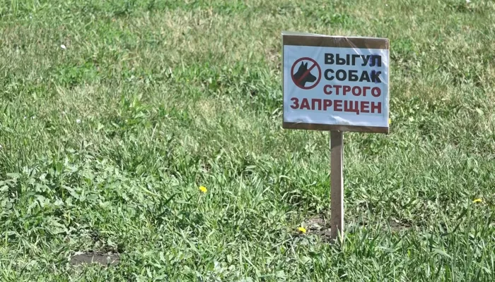 В Барнауле соседки подрались из-за газона и дошли до суда