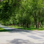 Девочка попала в реанимацию после укуса змеи в барнаульском парке Изумрудный