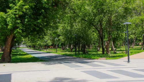 Девочка попала в реанимацию после укуса змеи в барнаульском парке Изумрудный
