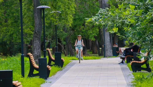 Критика зеленого разума. В Барнауле обсудили, сколько парков нужно для счастья