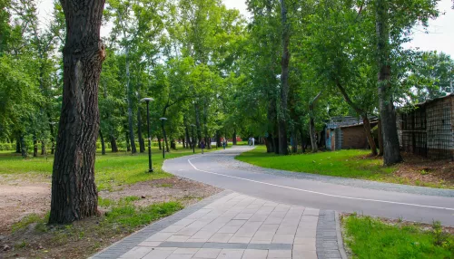 На берегу Барнаулки рядом с Планетой Q предлагают построить новый парк
