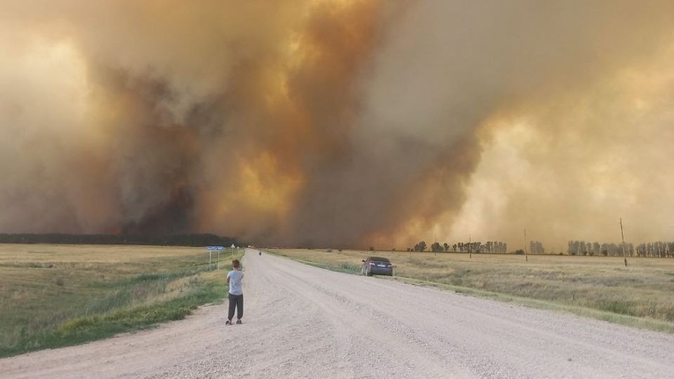 Мощный лесной пожар в Угловском районе Алтайского края 