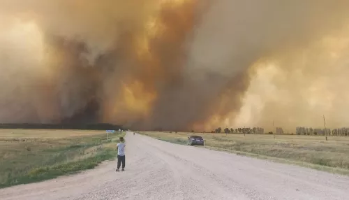 Мощный лесной пожар площадью 600 гектаров бушует в Алтайском крае