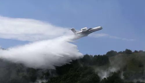 В Алтайском крае к тушению мощного лесного пожара привлекли самолет-амфибию