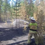 Площадь лесного пожара в Угловском районе выросла до 2,3 тысяч гектаров