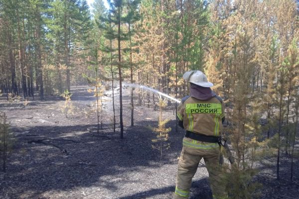 Площадь лесного пожара в Угловском районе выросла до 2,3 тысяч гектаров