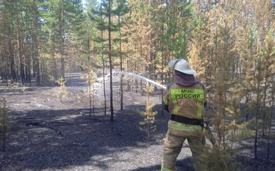Площадь лесного пожара в Угловском районе выросла до 2,3 тысяч гектаров