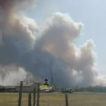 В Михайловском районе загорелся лес около села и детского лагеря