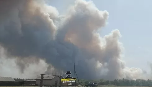 В Михайловском районе загорелся лес около села и детского лагеря