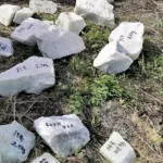 На Алтае бизнесмена осудили за попытку контрабанды нефрита на 47 млн рублей