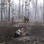 Территория огня: два района Алтайского края пострадали от крупных лесных пожаров