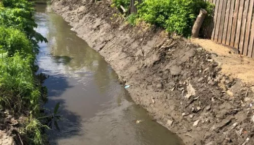 В Барнауле очистили от мусора и поросли реку Пивоварку