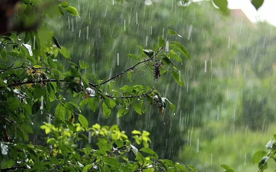 Шквалистый ветер с дождями и грозами обещают в Алтайском крае 29 июня