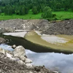 ОНФ обратился к генпрокурору, чтобы противостоять золотодобыче в Алтайском крае