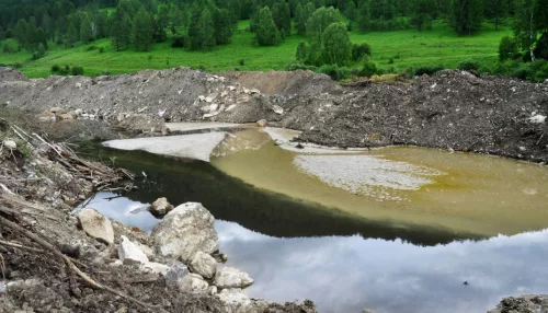 ОНФ обратился к генпрокурору, чтобы противостоять золотодобыче в Алтайском крае