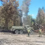 В Михайловском районе 29 июня снова вспыхнул лес