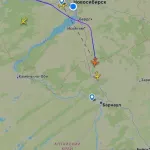 Летевший из Санкт-Петербурга самолет вынужденно приземлился в Барнауле