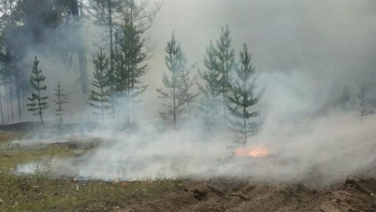 Пожар в Михайловском районе