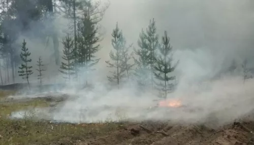 В Михайловском районе пожарные остановили продвижение огня