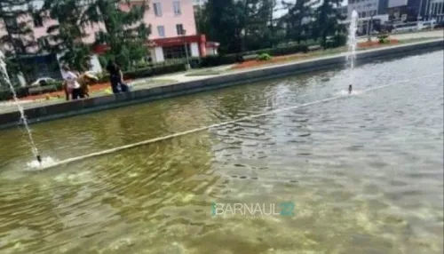 Отвратительная картина: жительница Барнаула пожаловалась на грязь в фонтанах