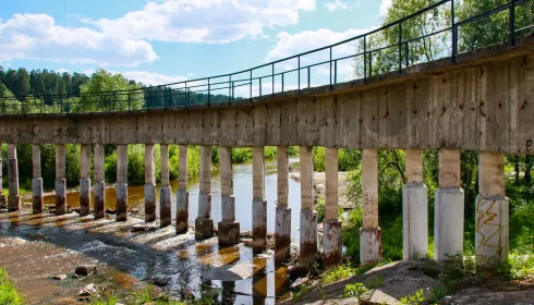 Решения для развития территории. Глава Барнаула обсудил проект ИЗУ на Лесном пруду