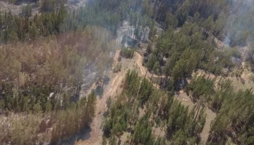 В Угловском районе спустя две недели удалось ликвидировать лесной пожар