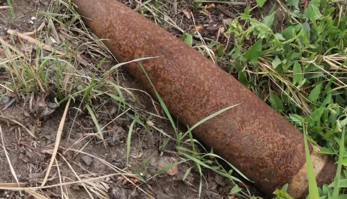Садоводы случайно нашли 42 артиллерийских снаряда в Алтайском крае