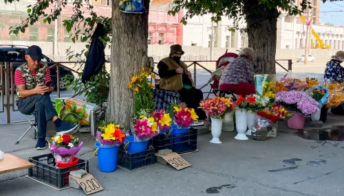 Овощи, ягоды и грибы тоже подорожали: в Барнауле наступил пик уличной торговли