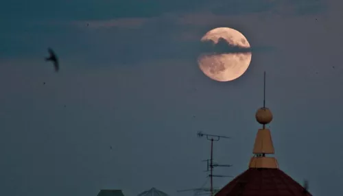 Барнаульский фотограф снял огромную Луну в преддверии Суперлуния