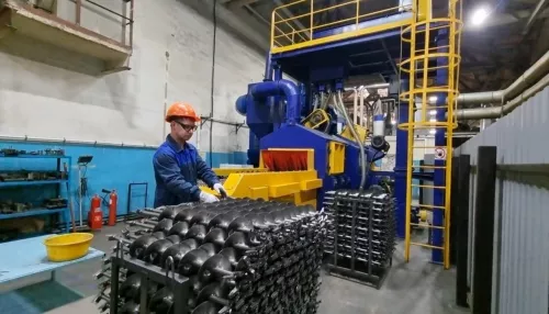 Алтайские производители рассказали об успехах в импортозамещении