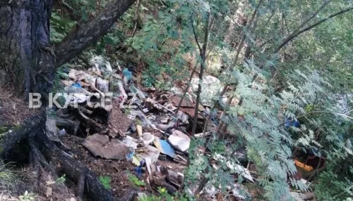 В Ленточному бору Барнаула обнаружили стихийный склад мусора