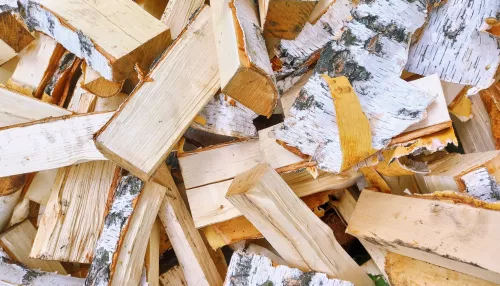 В Алтайском крае почти в два раза выросли цены на дрова