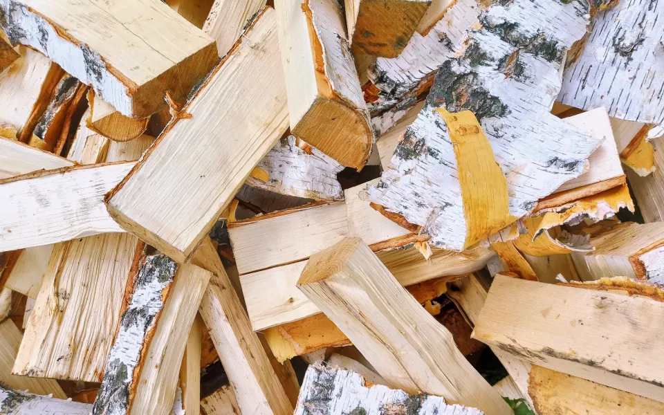 Алтайские власти опубликовали щадящий рейтинг стоимости дров