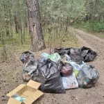 Барнаульцы обнаружили в ленточном бору свалку мусора после игры в страйкбол