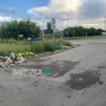 Барнаульцев беспокоит незаконная свалка у крупного городского ТЦ