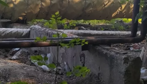 В Барнауле у пивзовода с труб сняли утеплитель и бросили его в лесу