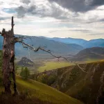 Как и зачем на нетронутый Алтай планируют привлекать туристов со всей страны