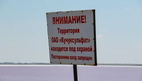 Алтайскому Кучуксульфату не удалось отсудить 2 млн рублей с хабаровских оптовиков
